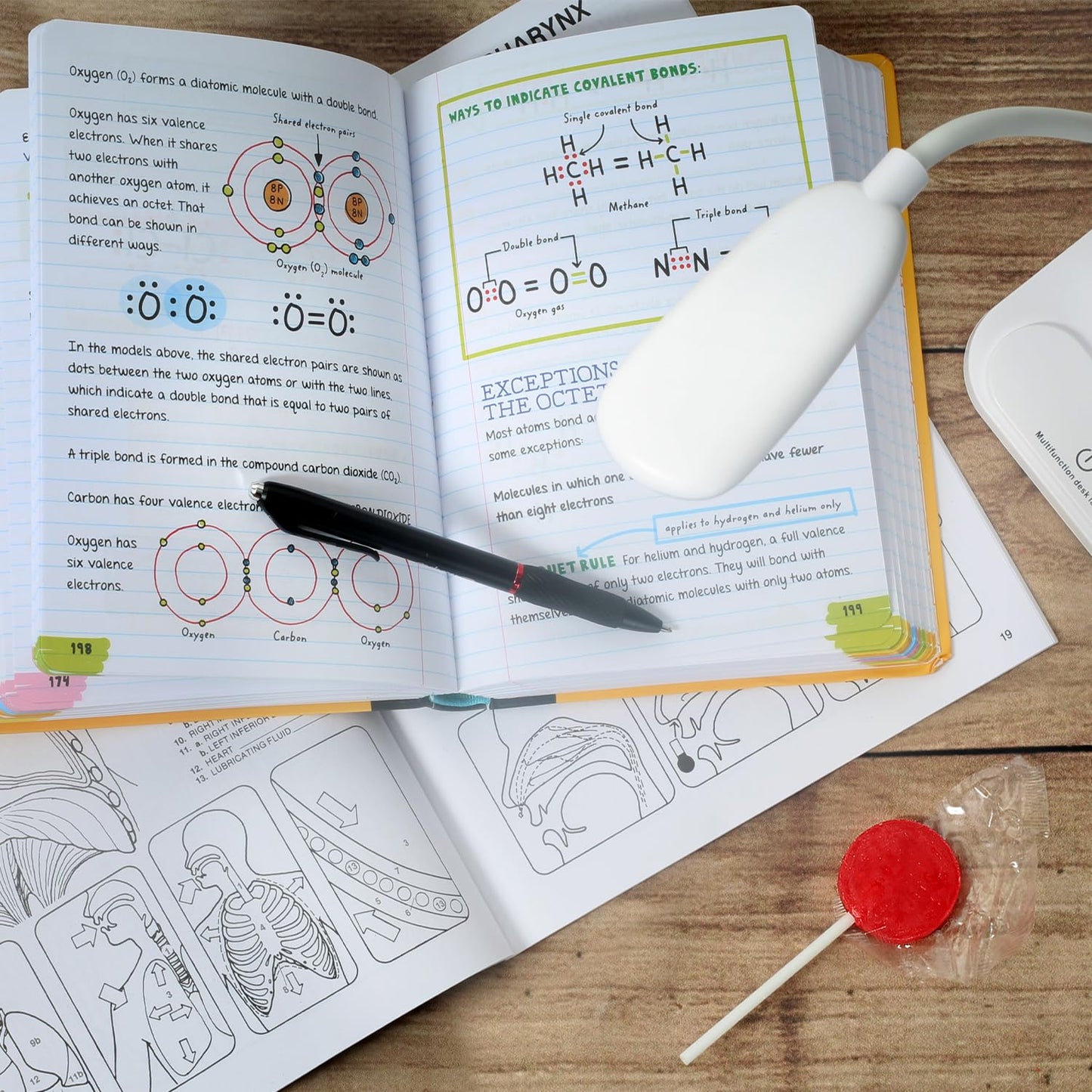 A Great Surprise Classic Lollipops Bulk - 5 Pounds - Halloween Lollipops Individually Wrapped - Trick or Treat Fruit Flavored Suckers for Kids - Church, School, Birthday (Fruit)